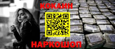 СК Кингисепп