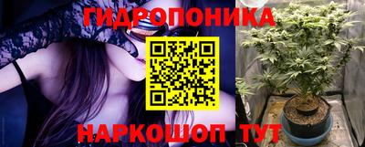 СК Кингисепп