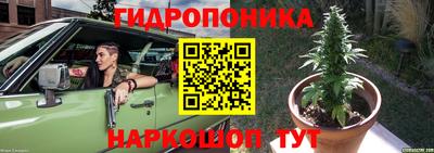 СК Кингисепп