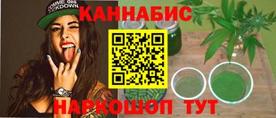 СК Кингисепп