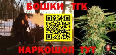 СК Кингисепп