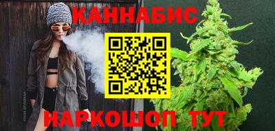 СК Кингисепп