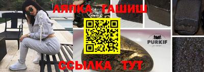 СК Кингисепп