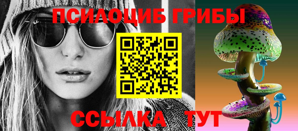 Кудрово  где купить наркотик  Псилоцибиновые грибы MAGIC MUSHROOMS  Вход с VPN  Псилоцибиновые грибы Psilocybe 