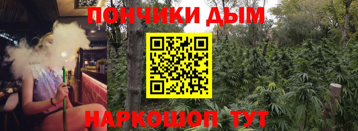 Шишки марихуана сатива  Вход с VPN  МАРИХУАНА планчик  Конопля тримм  Кудрово 